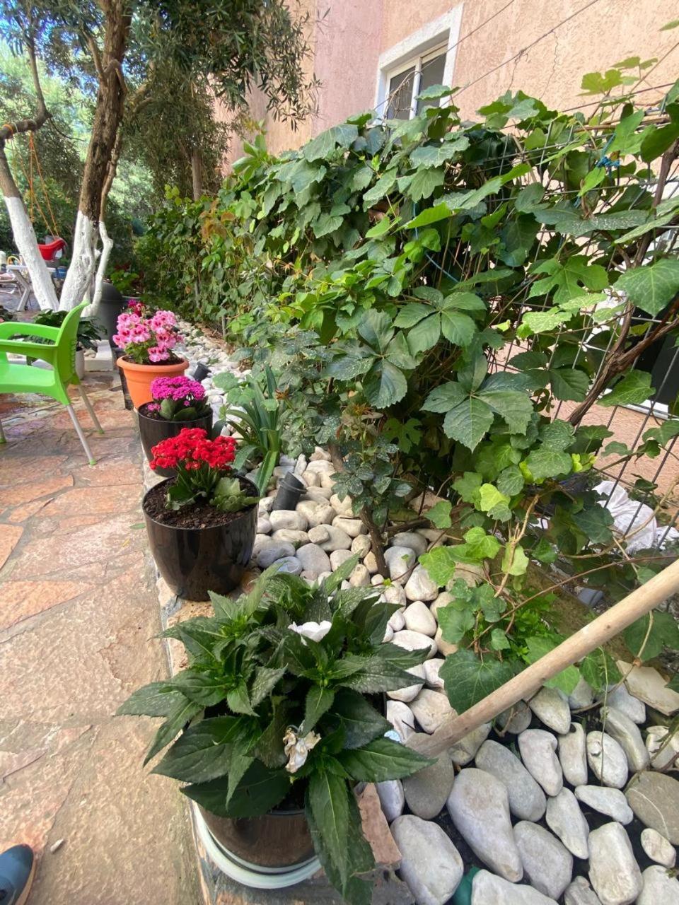 Olive Tree Apartment Sarande Ngoại thất bức ảnh